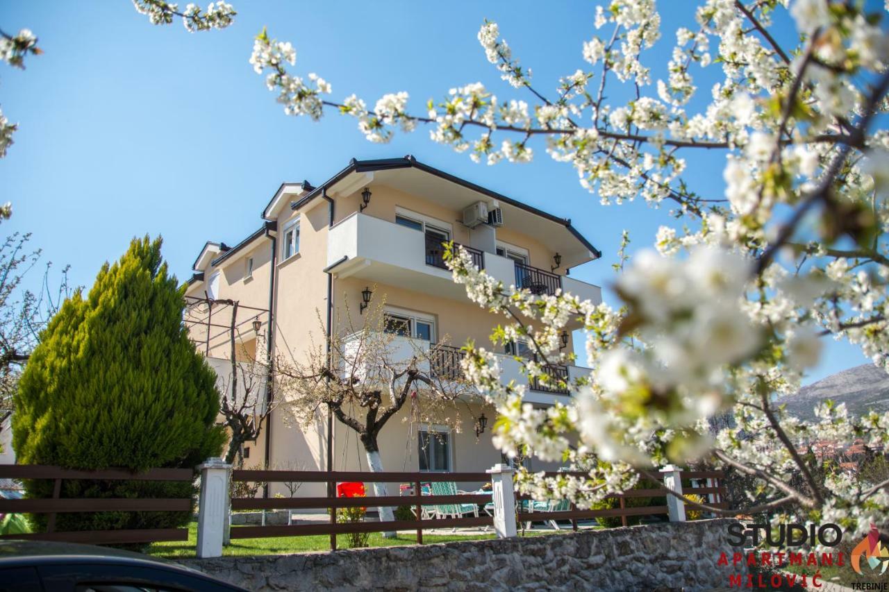Studio Apartmani Milovic Trebinje Luaran gambar
